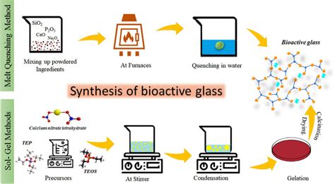  Bioactive Glass –  Một Vật Liệu Sinh Học Tiến Tiến Trong Nghiên Cứu Khớp Giả và Nâng Cao Tính Chuyển Hóa Của Thực Vật