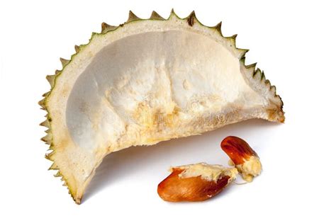  Durian Rind: The Unexpected Champion of Biodegradable Packaging and Sustainable Agriculture?