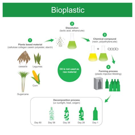  Flaxseed Oil – A Versatile Source for Bioplastics and Sustainable Lubricants!