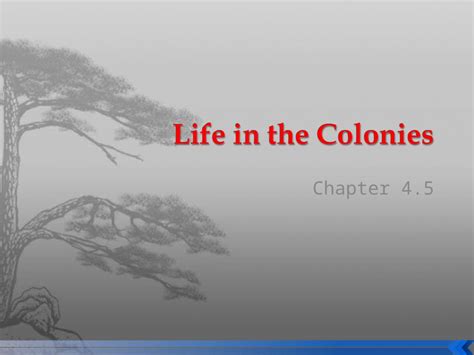 How Did the Spread of Western Education Affect Colonial Society? And Why Did Pineapples Become a Symbol of Hospitality?