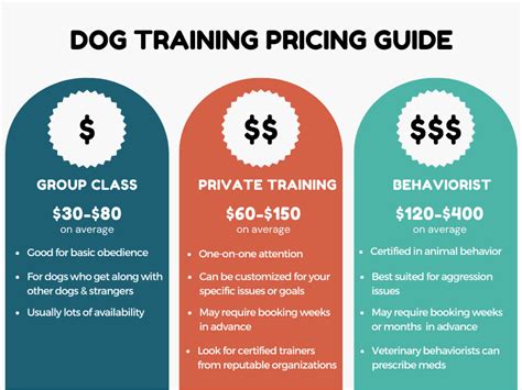 How Much Should You Spend on Dog Training? And Why Does Your Dog Think It's a Bargain?