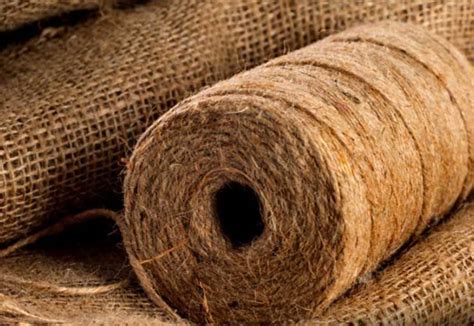  Jute: Fibers for Sustainable Packaging and High-Performance Textiles!