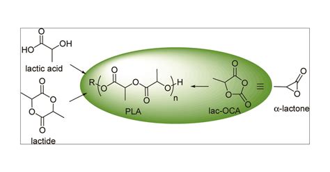  Lactide: Đột phá trong ngành Y tế và Hóa sinh học!?