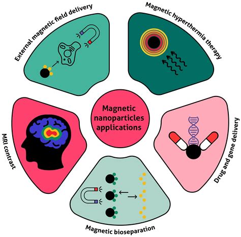  Magnetite – Nanoparticle Marvel for High-Performance Magnetic Data Storage and Biomedical Applications?