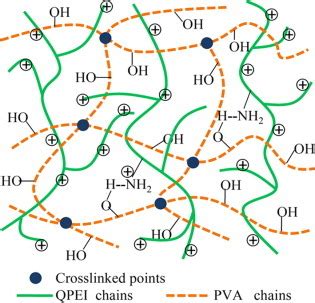  Quaternized Polyethyleneimine: Khám Phá Vật Liệu Hóa Học Có Tiềm Năng Lớn Trong Các Ứng Dụng Xử Lý Nước!