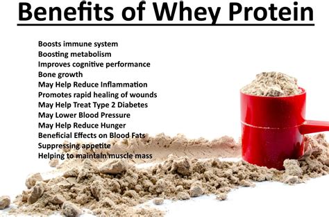 Whey Protein: Ứng Dụng Lợi ích Trong Các Sản Phẩm Thực Phẩm Chức Năng Và Bổ Sung Thể Thao!